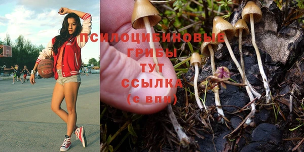 mix Михайловск