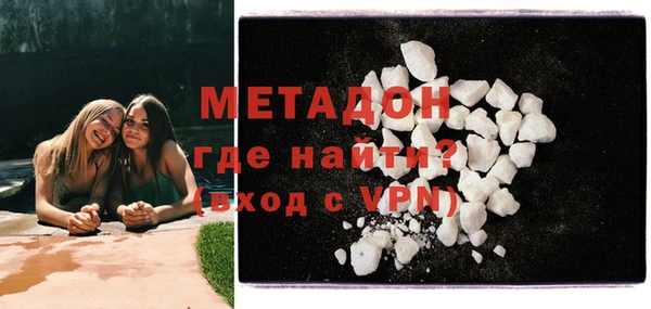прущие грибы Медногорск