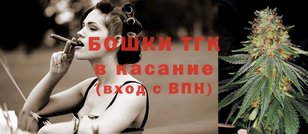 тгк Медвежьегорск